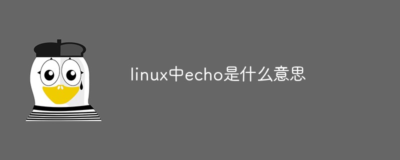 linux中echo是什么意思