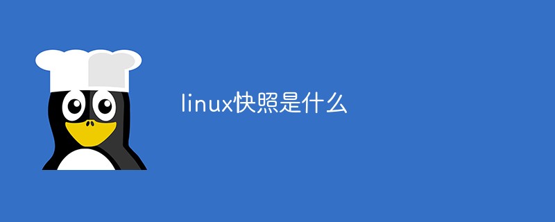 linux快照是什么