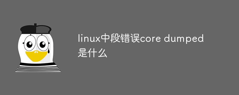 linux中段錯誤core dumped是什麼