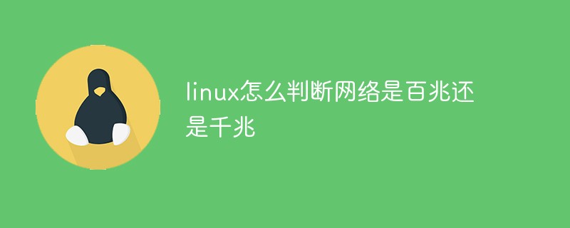 linux怎么判断网络是百兆还是千兆