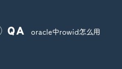 Cara menggunakan rowid dalam oracle
