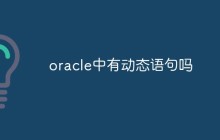 oracle中有动态语句吗