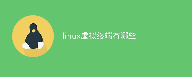 linux虚拟终端有哪些