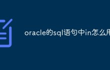 oracle的sql语句中in怎么用