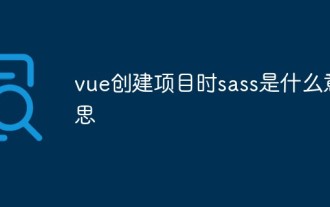 Apakah maksud sass apabila vue mencipta projek?