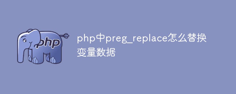 PHPで変数データをpreg_replaceで置き換える方法