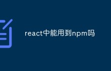 react中能用到npm吗