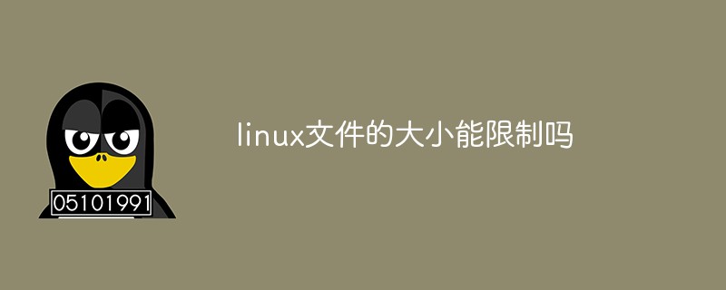 linux文件的大小能限制吗