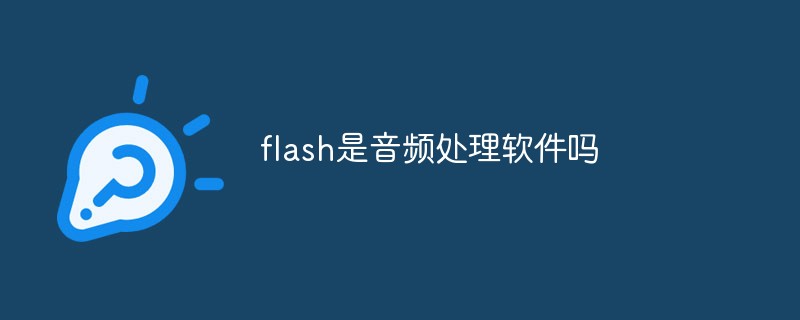 flash是音频处理软件吗