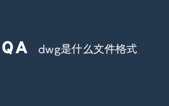 Quel est le format de fichier DWG ?