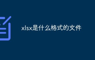 What is the xlsx format file?