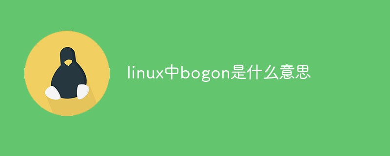 What does bogon mean in linux?