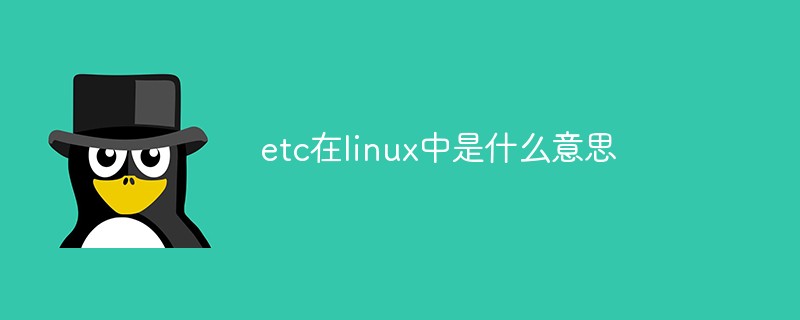 etc在linux中是什麼意思