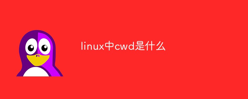 linux中cwd是什麼
