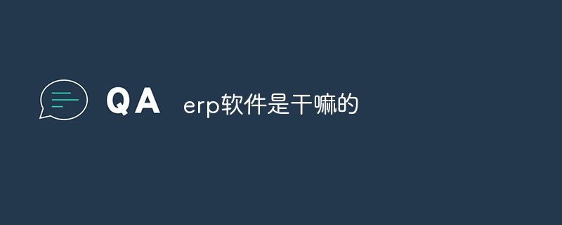 ERP ソフトウェアは何のためにあるのでしょうか?