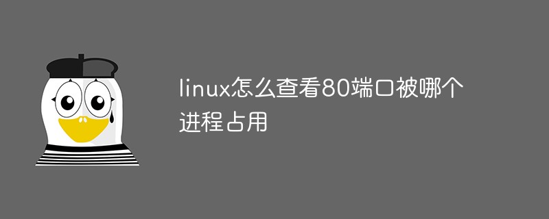 linux怎么查看80端口被哪个进程占用