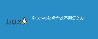 linux中pip命令找不到怎么办