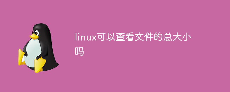 linux可以查看檔案的總大小嗎