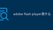 adobe flash player是什么