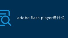 Adobe Flash Playerとは何ですか