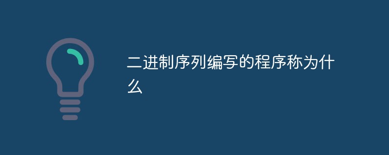 二進位序列所寫的程式稱為什麼