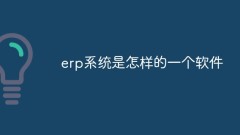 Was für eine Software ist ein ERP-System?