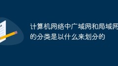 What are the classifications of wide area networks and local area networks in computer networks?