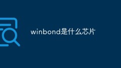 Welcher Chip ist Winbond?