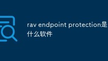 rav endpoint protection是什么软件