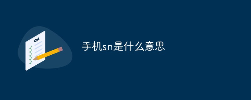 携帯電話のSNってどういう意味ですか？