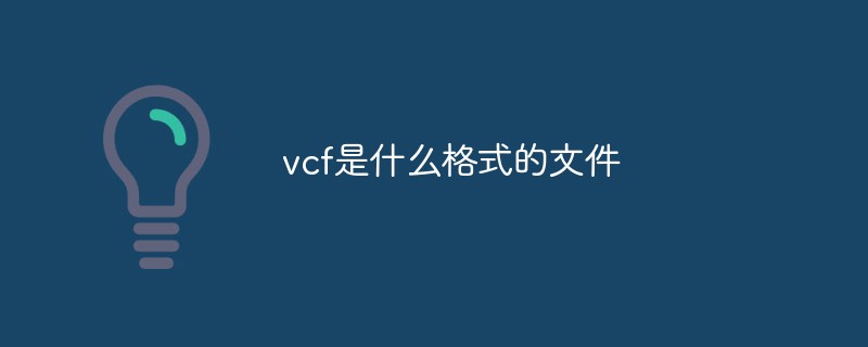 vcf是什么格式的文件