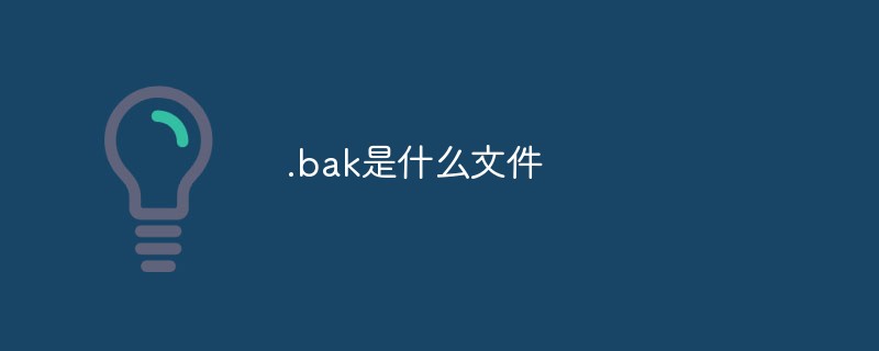 .bak とは何のファイルですか?