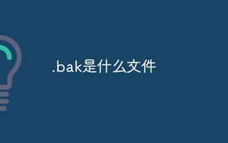 What file is .bak?