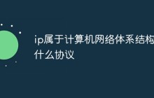 ip属于计算机网络体系结构的什么协议