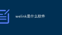 welink是什么软件