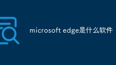 Welche Software ist Microsoft Edge?