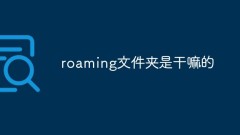 Wozu dient der Roaming-Ordner?