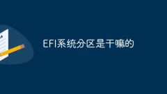 Untuk apa partition sistem EFI?