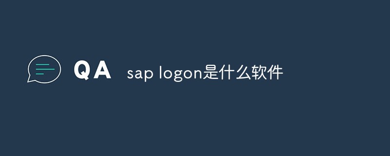 sap logon是什麼軟體