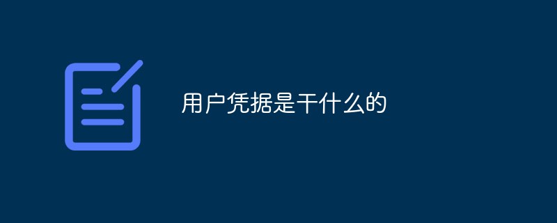 사용자 자격 증명은 무엇입니까?