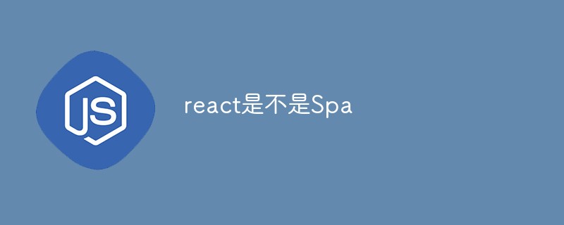 Ist React ein Spa?