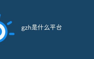 gzh是什么平台