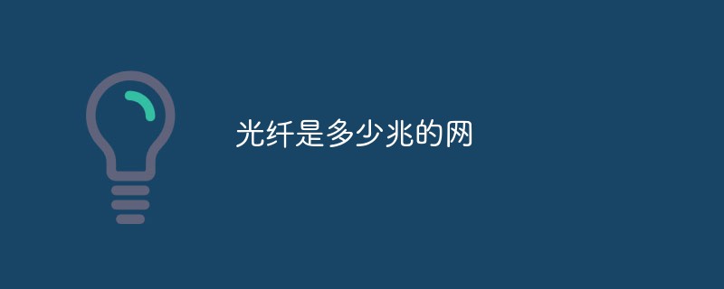 네트워크의 광섬유 용량은 몇 메가바이트입니까?