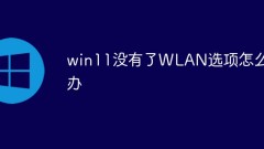Que dois-je faire s'il n'y a pas d'option WLAN dans win11 ?