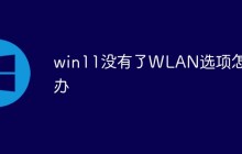 win11没有了WLAN选项怎么办