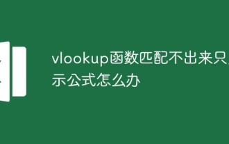 Apakah yang perlu saya lakukan jika fungsi vlookup tidak dapat dipadankan dan hanya memaparkan formula?