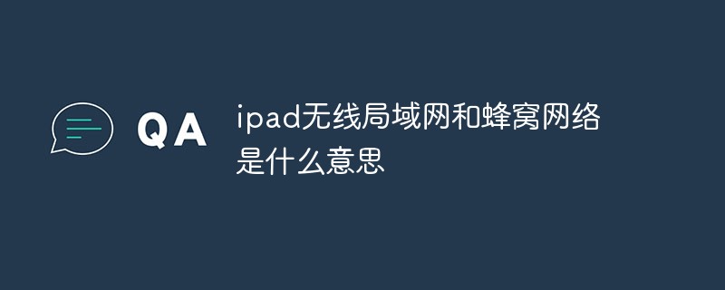 ipad 무선 LAN 및 셀룰러 네트워크는 무엇을 의미합니까?