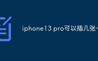 iphone13 pro에는 몇 장의 카드를 삽입할 수 있나요?