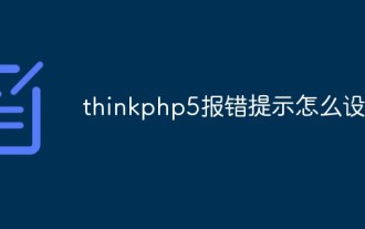 Comment définir des invites d'erreur dans thinkphp5