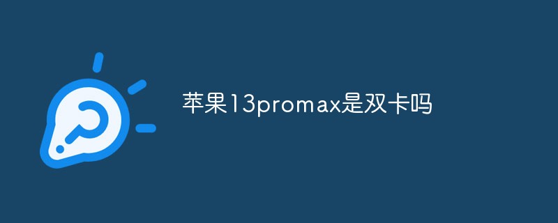 Apple 13promax はデュアル SIM ですか?